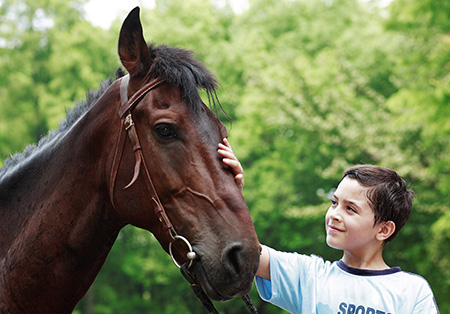 Boy Petting Horse